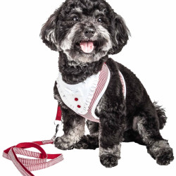 Pet Life HA25RDSM Luxe Spawling 2-in-1 Mesh Reversed Adjustable Dog Harness-Leash with Fashion Bowtie&#44; Red - Small