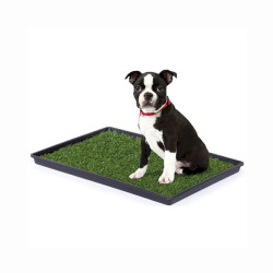 Prevue Hendryx Light Weight Medium Size Dog Breeds Tinkle Turf Training Tool - Pet Waste Disposal System